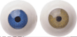 Eyes