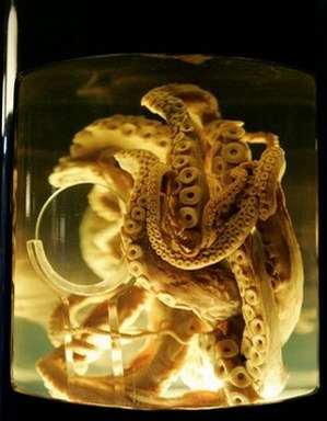 Alien Octopus