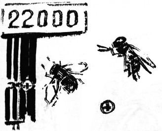 Fly at Pirx rocket. Test