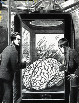 Evoliucionavs mogus: smegenys