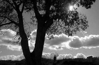 Meditation at Montains