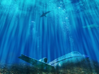 Plane underwater