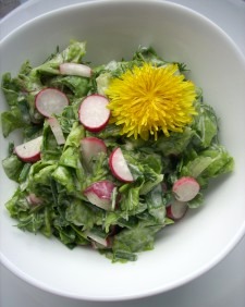 Salotos su kiaulpienmis