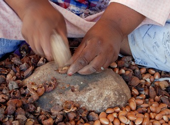 Making Argan Oil