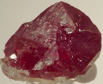 Theophrastus. Cinobaris