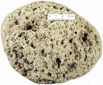Pumice
