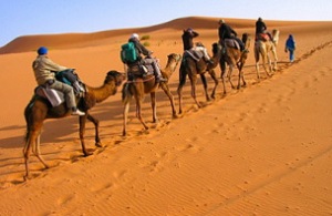 Kupranugariai Saharoje