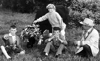 Vainikai sau ir karvei