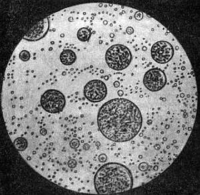 Oparin drops - life origin?