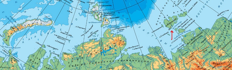 Arkties pakrant ir salos