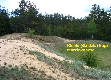 Kloni (Gaidi) kopa