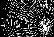 IBM kariausios naujienos Voratinkliui