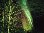 Awesome Aurora Pic