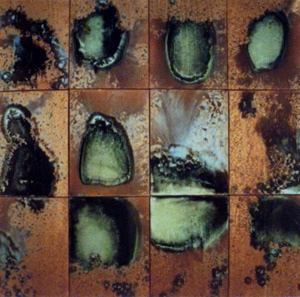 Warhol. Oxidation