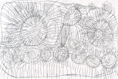 Rosie Tasman Napurrurla, Warlpiri 2002, Ngurlu Jukurrpa: Grass Seed; Bush Grain Dreaming