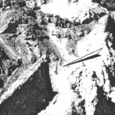 Noah Ark by Tom Crotser