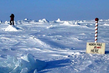 Siaurs poliaus poslinkis