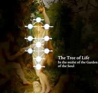 Tree of Life