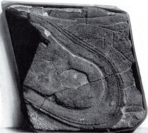 Bato atspaudas triase