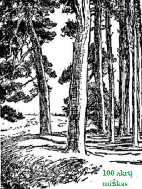 100 akr mikas