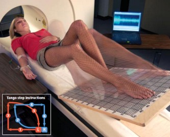 S.Brown, L.M. Parsons experiment