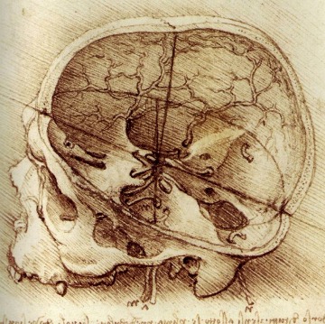 Leonardo da Vinci. Brain-veins drawing