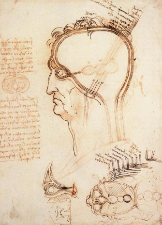 Leonardo da Vinci. Head drawing