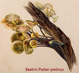 Beatrix Potter pieinys