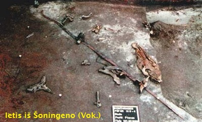 Wooden spear at Schoningen