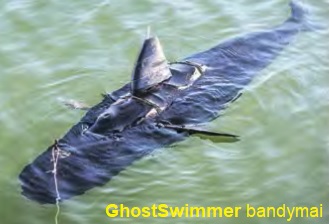 GhostSwimmer