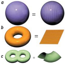 Manifold Generalization