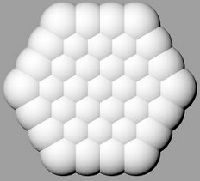 Rutulin gyvenimo glel