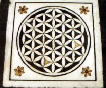 Gyvenimo glel Indijoje: Amistaras