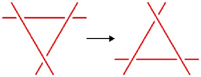 Reidemeisterio jimai. No.3