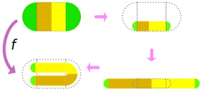Smeilo pasagos transformacija