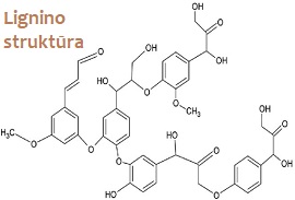 Lignino struktra