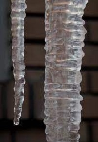 Varvekliai su gbriai