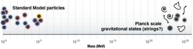 Scale symmetry illustration: standard model