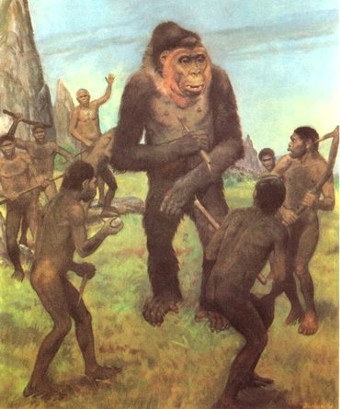 Against Gigantopithecus