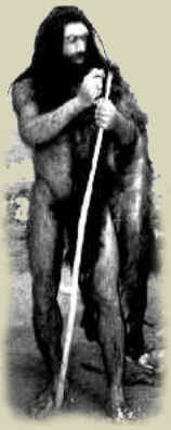 Homo neanderthalensis: by Nature Museum at Chicago