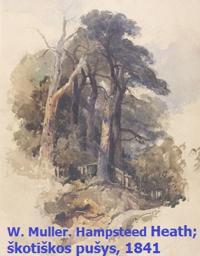 W. Muller. Heath puys, 1841