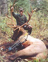 Elks hunting